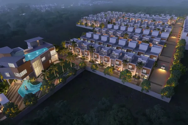 dtc palm grove